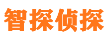 嫩江侦探公司